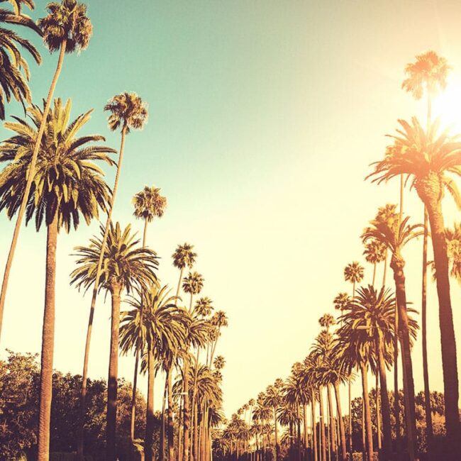 Pilot with Knowledge Shop in LA